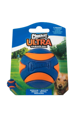 Ultra Squeaker Ball M
